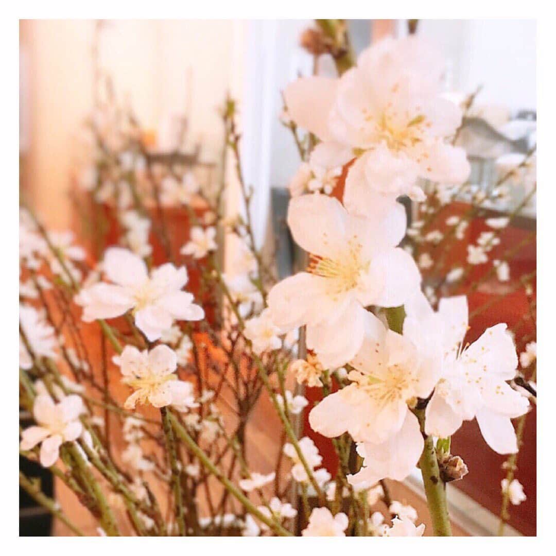 ネイルケアサロン タアコバさんのインスタグラム写真 - (ネイルケアサロン タアコバInstagram)「間もなく桜の季節がやってきます。 心も晴れやかな春の訪れに向けて、今から少しづつ丁寧にお手入れを始めてはいかがでしょうか。  #桜 #mellia #桜ピンク #春ネイル #taacoba #タアコバ #longleage #ロングルアージュ #セルフケア #ネイルケア #甘皮ケア #爪のお手入れ #キューティクルケア #nailproducts #ネイルサロン #ネイルサロン #自爪育成 #育爪 #美爪 #健康な爪 #nailpolish #ネイル #nails」2月19日 21時25分 - taacoba