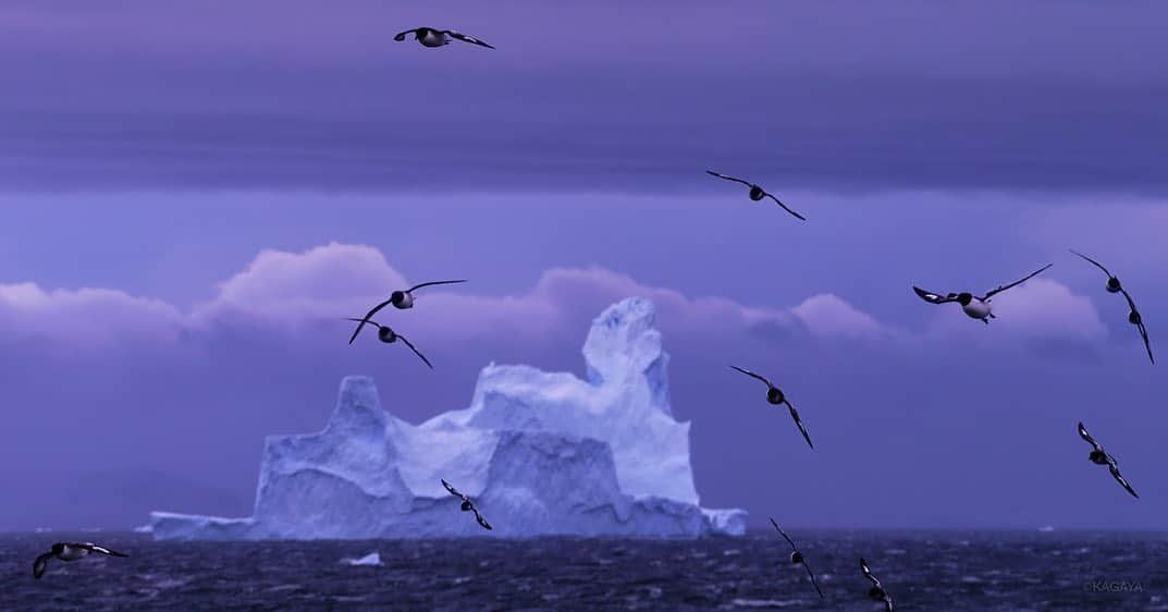 KAGAYAさんのインスタグラム写真 - (KAGAYAInstagram)「白夜に浮かぶ氷の城。 （2016年、南極にて撮影） 今週もお疲れさまでした。」2月19日 21時44分 - kagaya11949