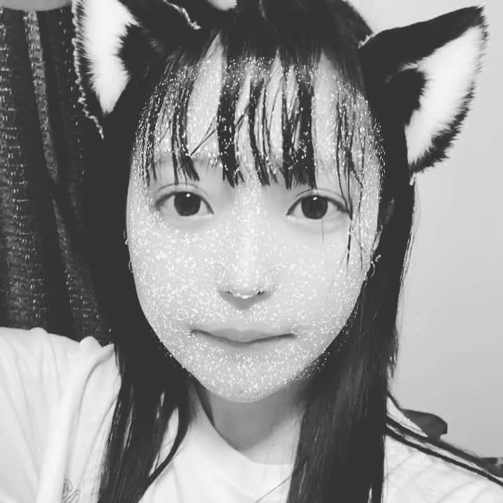 コノミのインスタグラム