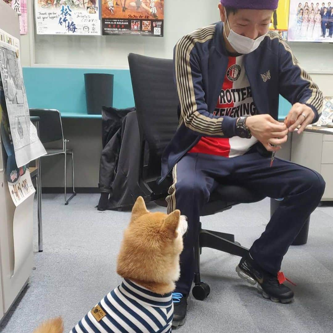 秋山賢太さんのインスタグラム写真 - (秋山賢太Instagram)「「はぁ〜い、週一ちゅ〜るタイムです」  食べ終わったらすぐどっかいったよね。。  #山名おまめ #山名君の愛犬 #豆柴 #柴犬 #ちゅ〜る #ちゅ〜るだけの関係性 #週刊ヤングフライデー #ヤンフラ #ニガミ17才 #あくびん #アキナ #アキナ山名 #アキナ秋山」2月19日 22時27分 - akiyama.0624