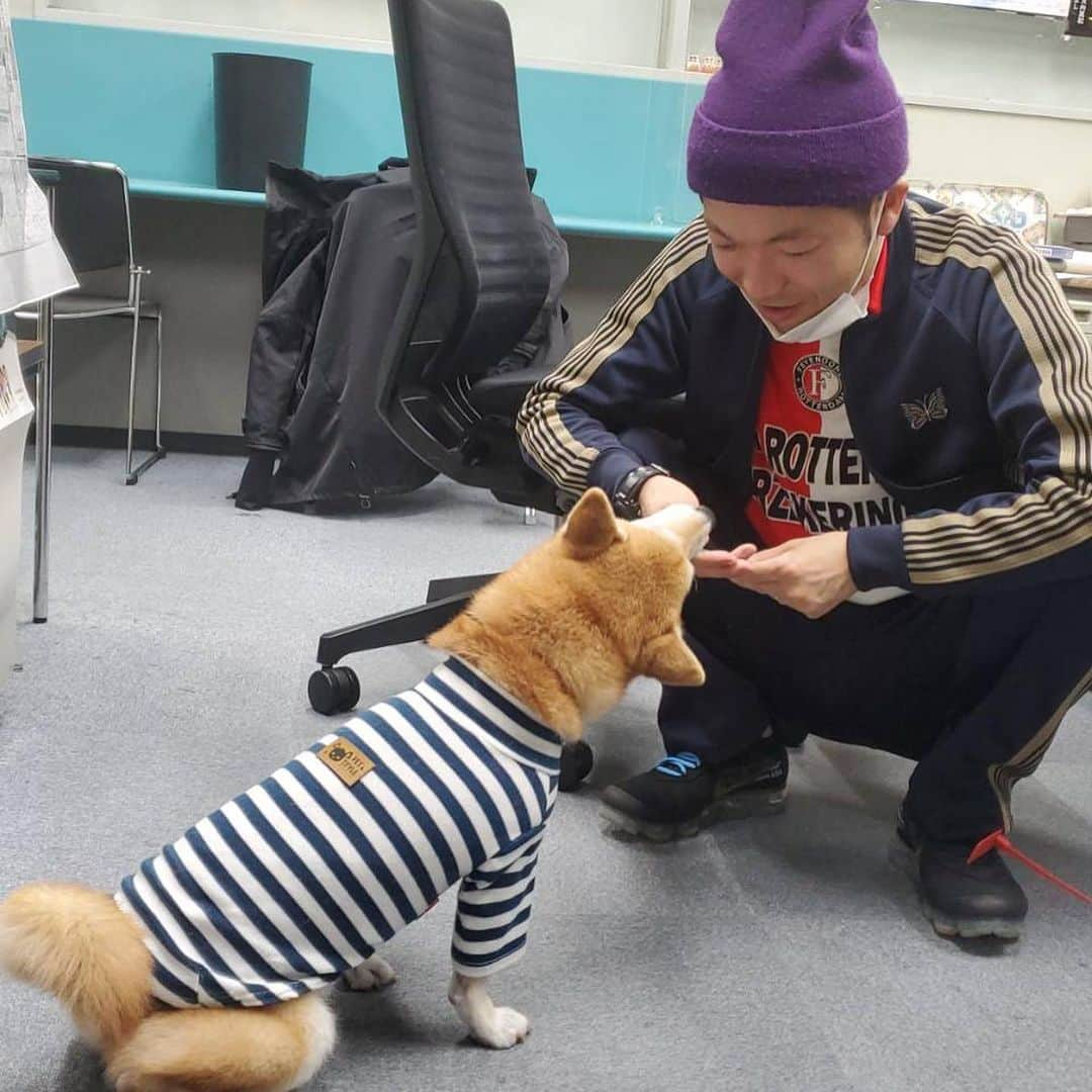 秋山賢太さんのインスタグラム写真 - (秋山賢太Instagram)「「はぁ〜い、週一ちゅ〜るタイムです」  食べ終わったらすぐどっかいったよね。。  #山名おまめ #山名君の愛犬 #豆柴 #柴犬 #ちゅ〜る #ちゅ〜るだけの関係性 #週刊ヤングフライデー #ヤンフラ #ニガミ17才 #あくびん #アキナ #アキナ山名 #アキナ秋山」2月19日 22時27分 - akiyama.0624