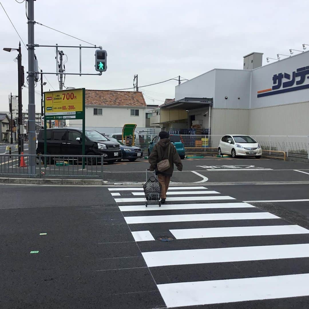 橋本かずまささんのインスタグラム写真 - (橋本かずまさInstagram)「地元四條畷市の府道四條畷停車場線で地域の皆さんからご要望を頂いて進めてきました新設の《歩行者信号機の設置》《横断歩道の設置》の運用がはじまりました。 府政相談・ご要望をいただいてから予算や設置のためのデータ等の手続きもありご要望を頂いて数年がかかりましたが、大阪維新の会四條畷市議と連携し、安心安全に道路の横断をして頂けるようになりました。 今日は大阪維新の会四條畷市議の大矢議員、柳生議員と現地を確認してきました。 窓口をしてくれていた土井前市議は所用があり時間をずらして現地確認でした。 信号設置においてご協力を頂いた隣接する企業さんの川本社長とも意見交換をさせて頂きました。 ありがとうございました。 これからも地域の皆さんの声をかたちにしていきます。 #大阪府 #四條畷市 #連携 #信号設置 #大阪府警察 #大阪維新の会 #四條畷市議 #横断歩道」2月19日 22時34分 - kazumasa.hashimoto