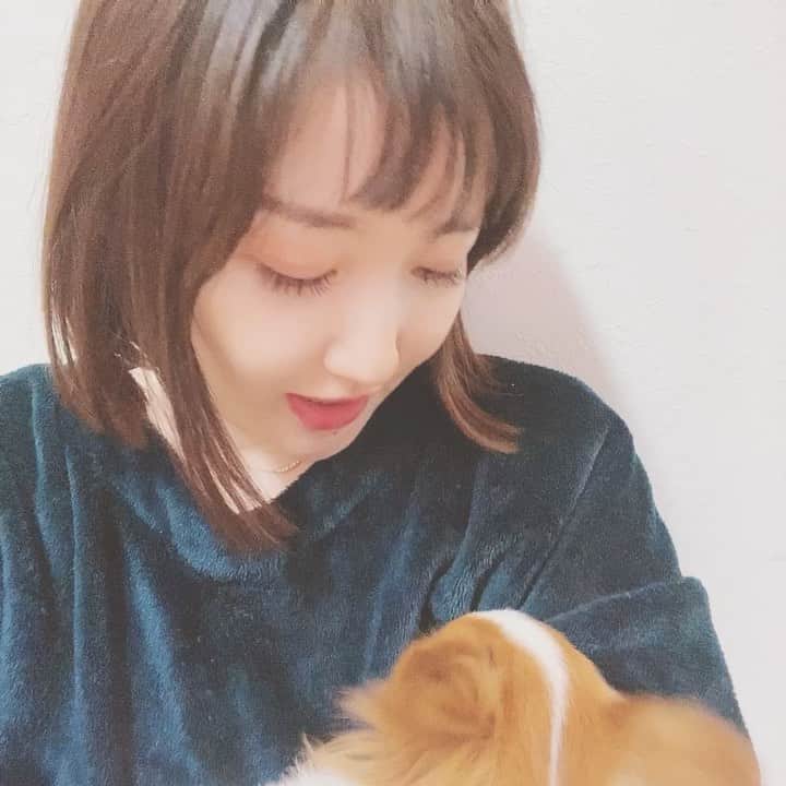 黒川沙良のインスタグラム：「3月に超嬉しいお知らせ発表出来るよー❣️はー楽しみ✨なんだか私最近、生き急いでるみたいでそんな話もコミコミで2/20 20:00〜(1時間早まりました💦)スタライやります🤍🥺よかったら聞いてね💕  そして今日のヴィヴィさん @vivi_and_sala 愛が熱烈で困っちゃうなあもう🤍🐶」