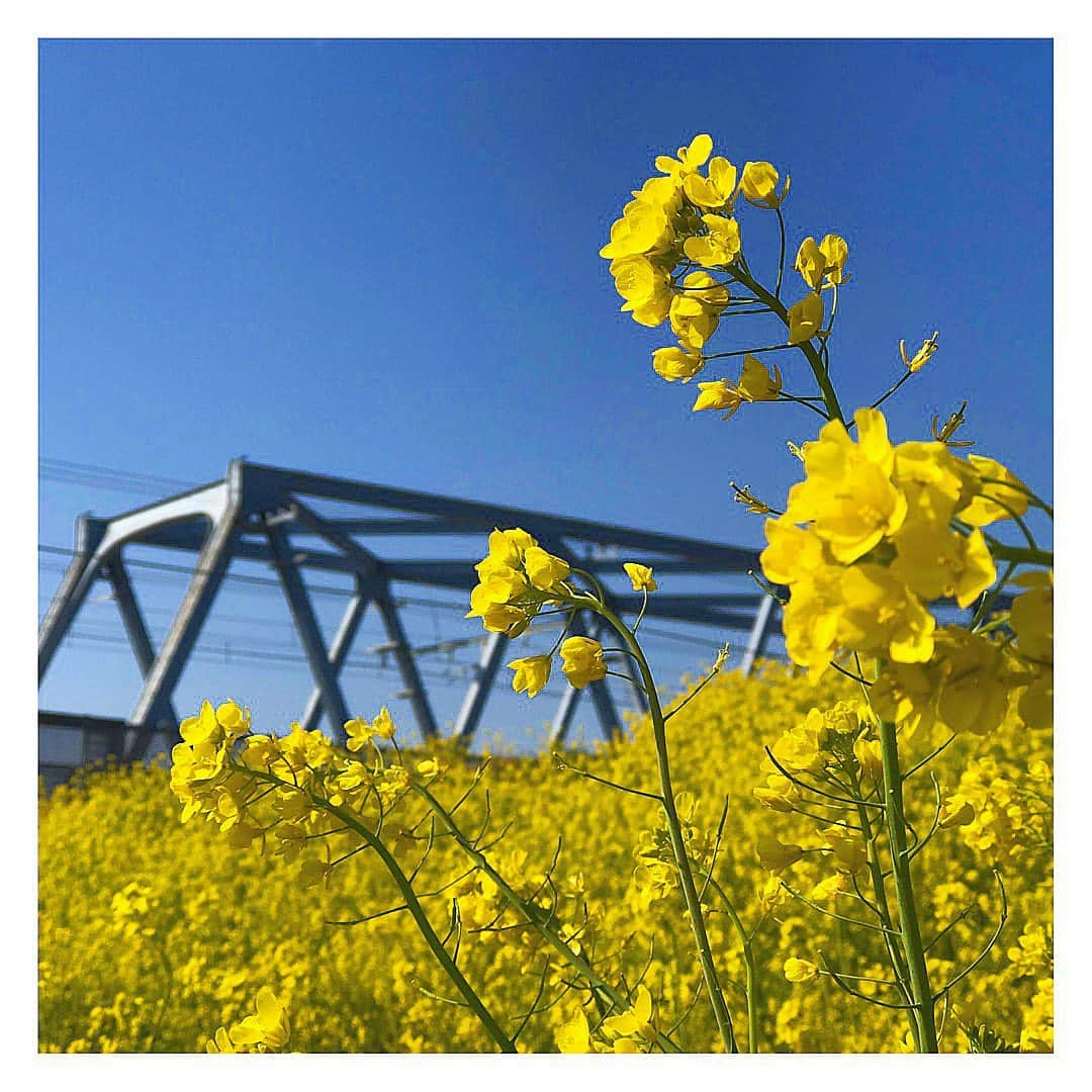 森杏奈さんのインスタグラム写真 - (森杏奈Instagram)「ㅤㅤㅤㅤㅤㅤㅤㅤㅤㅤㅤㅤㅤ ㅤㅤㅤㅤㅤㅤㅤㅤㅤㅤㅤㅤㅤ 春が楽しみだね💐 ㅤㅤㅤㅤㅤㅤㅤㅤㅤㅤㅤㅤㅤ」2月19日 22時59分 - _morianna