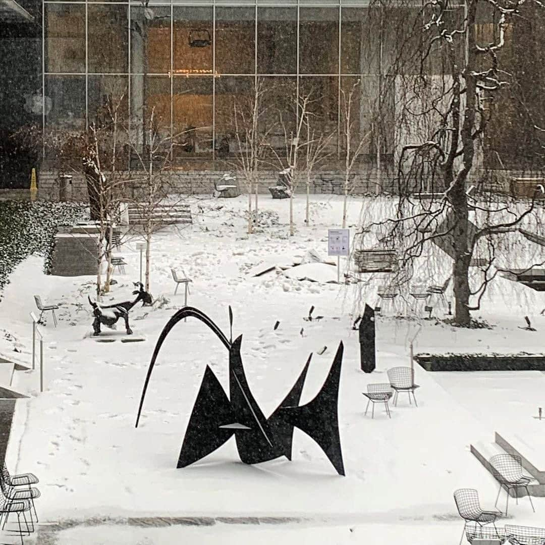 ニューヨーク近代美術館のインスタグラム：「Alexander Calder's "Black Widow" stands strong against the wind and snow in our Sculpture Garden.  Soon, the artist's sculpture will move indoors for our upcoming exhibition, "Alexander Calder: Modern from the Start."  Step into Calder's world, from early wood and wire sculptures to jewelry to mobiles in motion, in the career-spanning survey, opening on March 14 in our galleries and Sculpture Garden. Members experience the exhibition first, with previews March 11-13. Learn more at the link in our bio. 🕷  -- Alexander Calder. "Black Widow." 1959. Painted sheet steel. © 2021 Calder Foundation, New York / Artists Rights Society (ARS), New York. 📸: @cmanes. #MoMACollection #MoMAGarden #AlexanderCalder @calderfoundation」