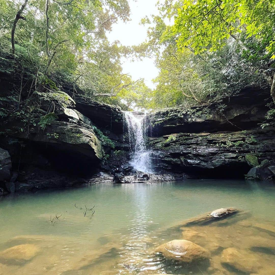 杉野遥奈さんのインスタグラム写真 - (杉野遥奈Instagram)「実は、私の両親は根っからの旅人で 父はヒッチハイクで日本一周、 母はバイクで日本一周してた時に 西表島で出会ったらしい。  父が島の魅力にハマり想定以上に長期滞在したおかげで 母に出会えたと聞いて、 ずっと行きたかった土地に初めて足を踏み入れた。  完全に魅了された😭 両親を巡り合わせてくれてありがとう。  ———  両親が西表島で出会った時滞在してた宿に行ったら、 35年前と同じオーナーのおばあちゃんと話せた。 当時は旅ブームで毎日50人位の旅人が泊まってたらしい。 旅友達が船で帰る度にダイブして見送るのが 父の日課だったらしく何度も楽しそうに話してたから、 旅って本当に「人生の財産」になるんだと学んだ✨  ちなみに当時父は26歳、母は24歳で それぞれ日本一周してたんだけど、 同じ歳で同じ土地に訪れ似た生き方を出来てるのが すごく嬉しい。  当時は会社員を辞めるのも 今以上に勇気がいることだったと思うのに、 自分の本心に従って勇気出して辞めて 旅に出てた両親が誇らしいな☺️💕  私も人生かけて旅をしていきます🌏 こんなに魅力的な土地が沢山あるのに 訪れないのはもったいない！！  そしてこの実体験を伝えることで、 もっと旅に出たり 自由に生きる人が増えることを願って…😌❤️  ━━━━━━━━━━━━━━━━━━ Follow : @haru0127x Me：#旅するフリーランス #ノマド #アドレスホッパー #webdesign  ✈️41カ国200都市以上旅暮らし 🌍コロナ終息後 #世界一周 ❤️#意識高い系自由人 ━━━━━━━━━━━━━━━━━━」2月19日 23時52分 - haru0127x