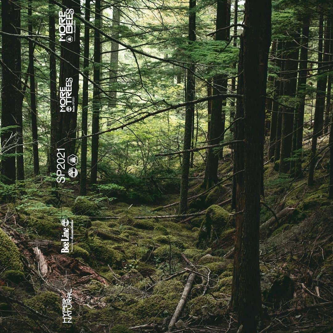 ティンバーランドのインスタグラム：「More Trees. More Bees.​  Bee Line by Billionaire Boys Club x Timberland SP2021.​  Exclusive early release at @BBCICECREAM 2.26.21. Timberland.com and select retailers on 3.5.21.​」
