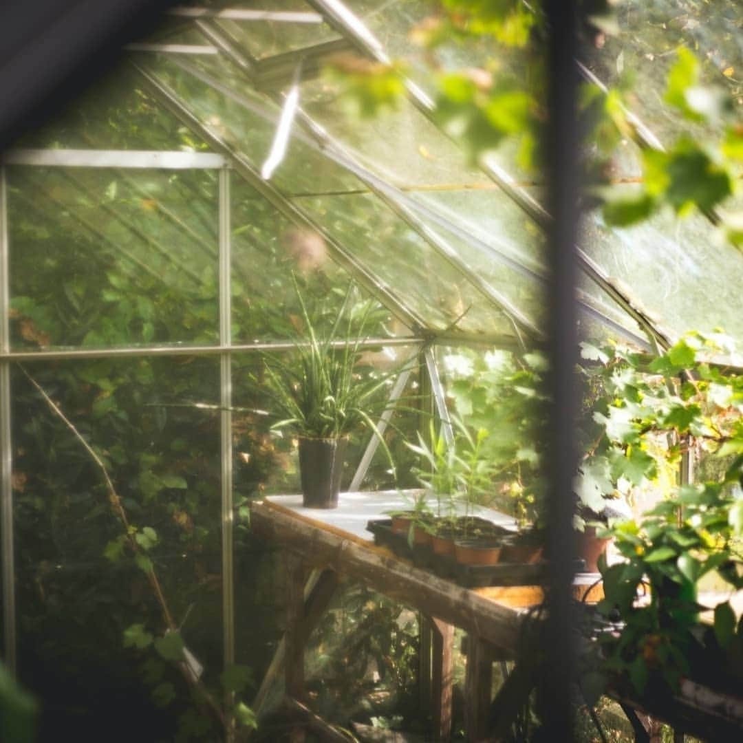 ミラーハリスさんのインスタグラム写真 - (ミラーハリスInstagram)「Our founder's love of nature and from an early age inspired La Feuille, capturing the bright essence of a greenhouse  #PrivateCollection #LaFeuille」2月20日 0時01分 - millerharris