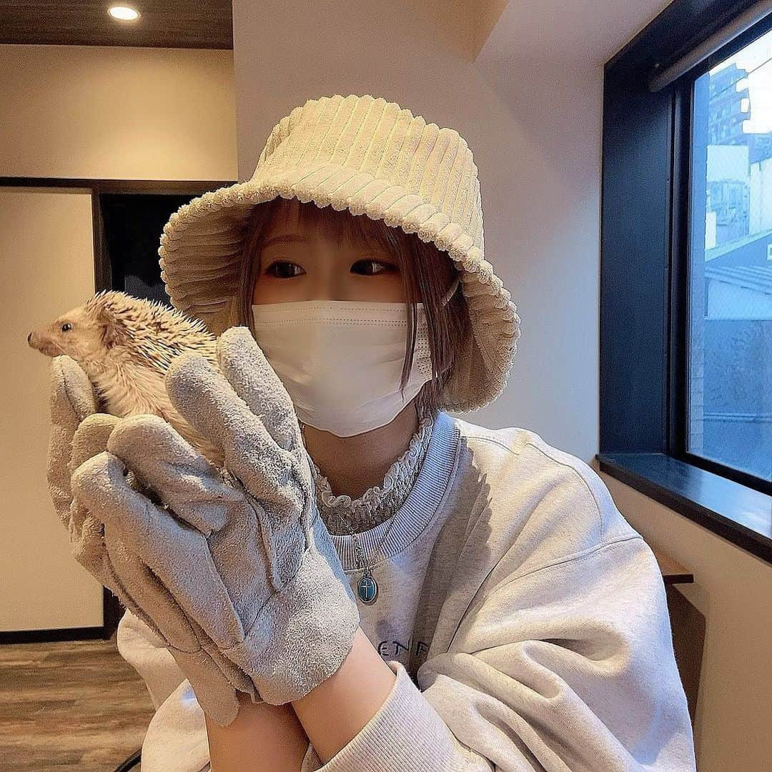 遠矢るいさんのインスタグラム写真 - (遠矢るいInstagram)「癒されてきた🦔💕 #ハリネズミ #ハリネズミカフェ」2月20日 0時05分 - rui_tooya