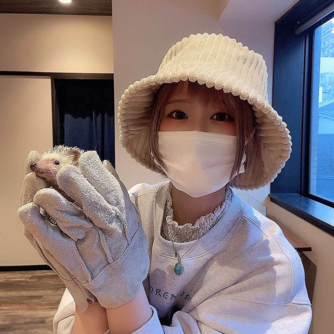 遠矢るいさんのインスタグラム写真 - (遠矢るいInstagram)「癒されてきた🦔💕 #ハリネズミ #ハリネズミカフェ」2月20日 0時05分 - rui_tooya