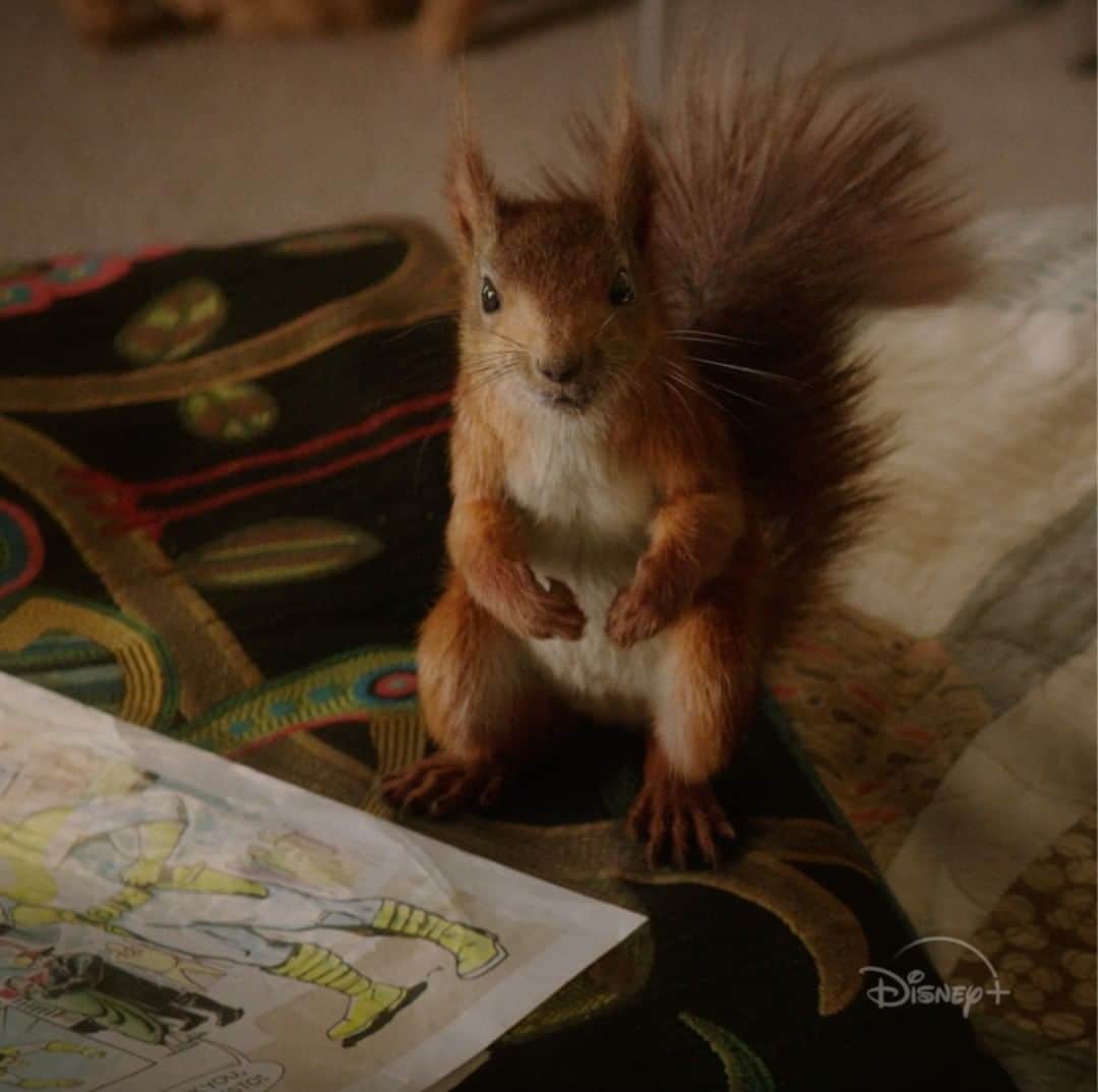 Walt Disney Studiosのインスタグラム：「Every superhero has a purpose. Witness this super squirrel find his 🐿 ⚡ 💥 Watch #FloraAndUlysses now streaming on #DisneyPlus」