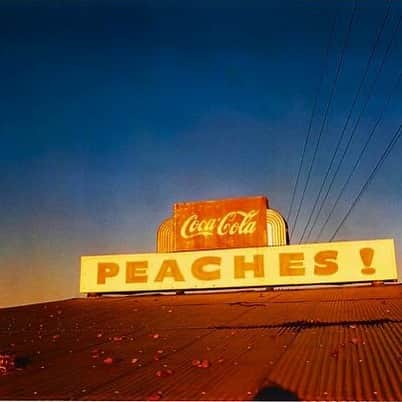 ブルックグレグソンのインスタグラム：「It’s an Eggleston Friday! 🌈 💕✨ #williameggleston #peaches #1971」