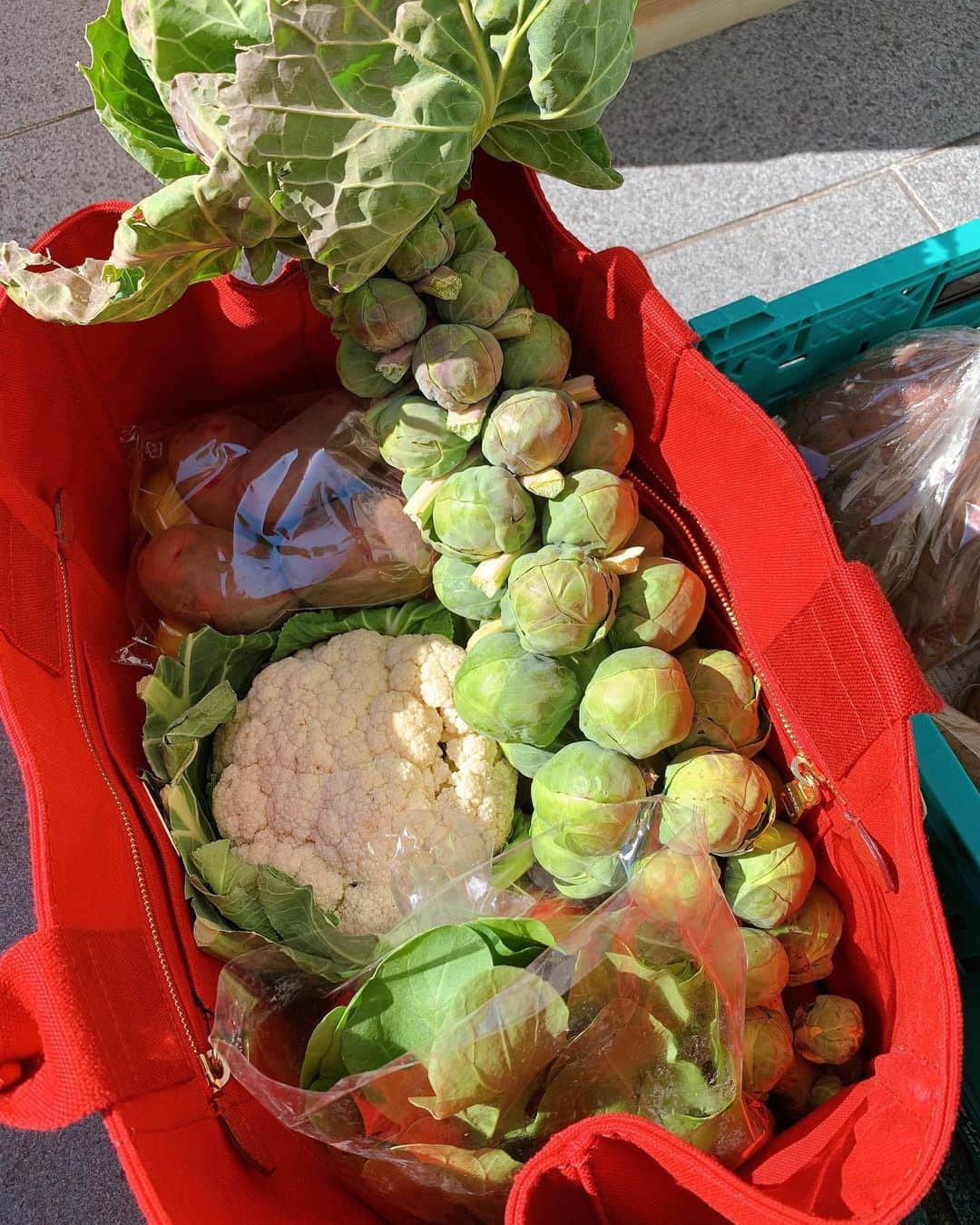 山本ソニアのインスタグラム：「お野菜パワー注入します😍 🍅🥦🥔🥬🍎  芽キャベツ😍  @soooyamy にて作ったものなどアップしていくよ👩🏻‍🍳」