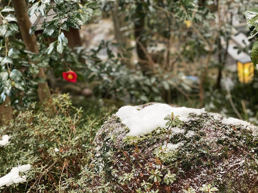 湯の山温泉 寿亭|Ryokan KOTOBUKITEIのインスタグラム