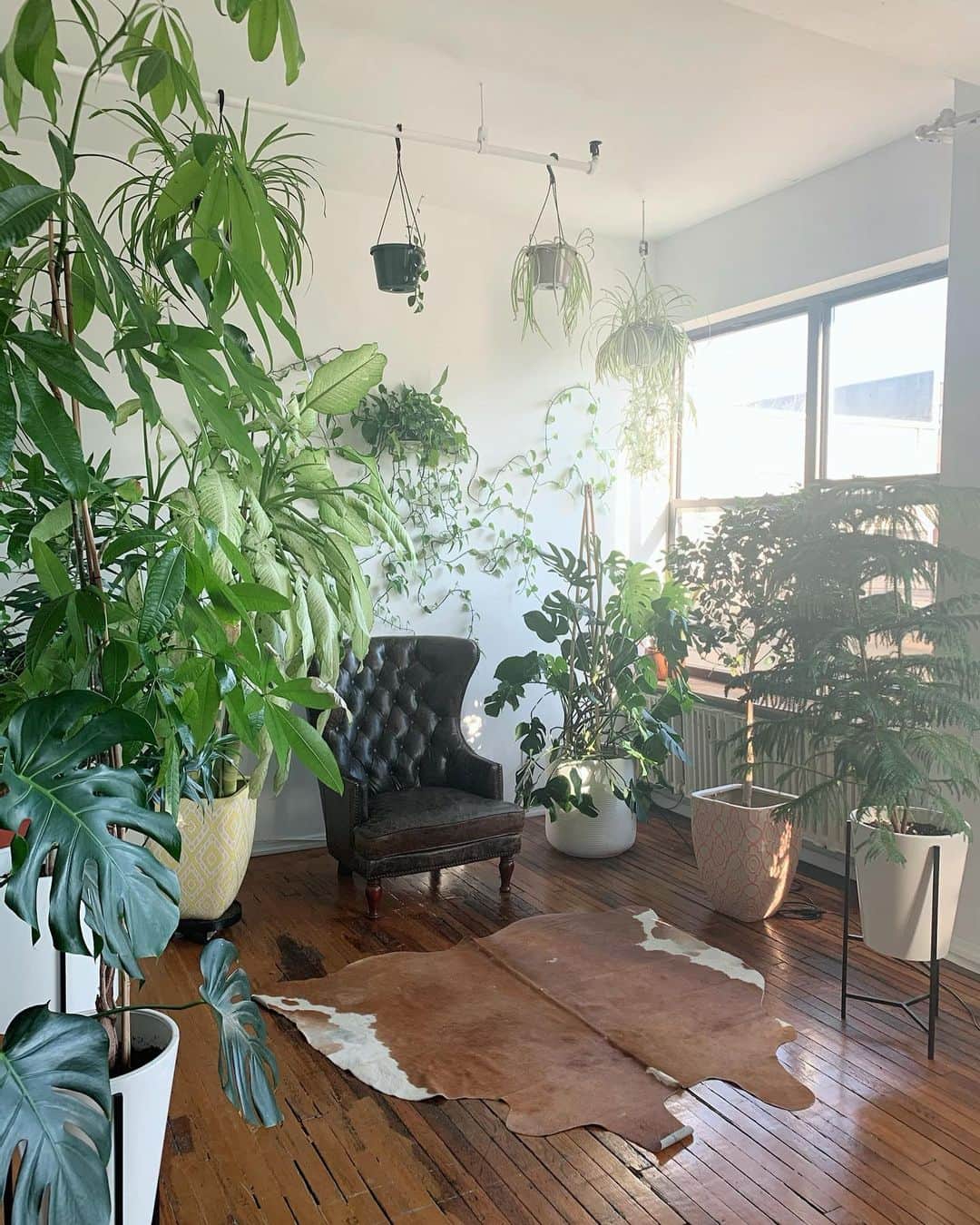 金原杏奈のインスタグラム：「🌿🍃」