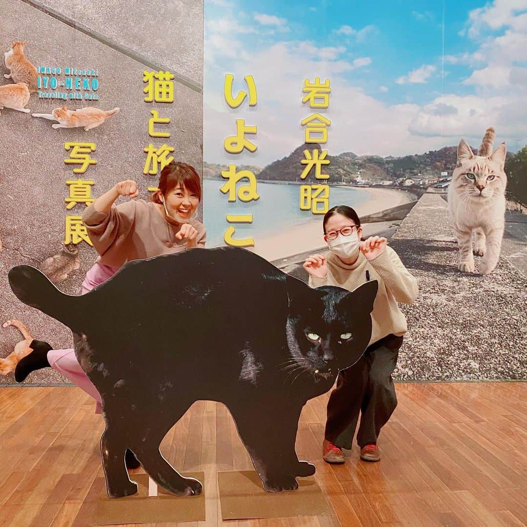 滝香織さんのインスタグラム写真 - (滝香織Instagram)「. #岩合光昭いよねこ猫と旅する写真展 @iyoneko_ten   昨日#ほのボーノ の生中継でその見所をご紹介しました♪ #岩合光昭 さんの#ねこの写真 が100点展示されていて、うち約半数が#愛媛 で撮られた#いよねこ ねこちゃんたちの自然な姿が、 見事にその一瞬一瞬が切り取られています。 癒されました〜☺️  展示の中には、猫のパネルと一緒に写真を撮れるフォトコーナーも✨ ばっちり撮ってきましたよ♪  さらに、5作品は写真撮影OKとなっています。 6枚目の写真、ねこちゃんはどこにいるでしょう！？ 探してみてください😁 答えは7枚目に✨  この展覧会は#愛媛県美術館 で3月28日までやってますよ😊  #写真 #フォト #動物写真 #ねこ写真 #猫 #ねこちゃん #ネコ #岩合光昭 #世界ネコ歩き #癒し #美術館 #アート #愛媛 #ehime #photo #cat」2月20日 12時11分 - kaorin_taki