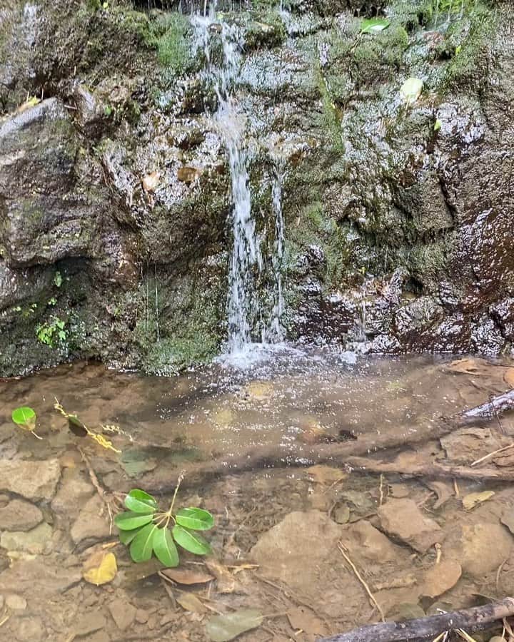ザッキー・ヴェンジェンスのインスタグラム：「💧」