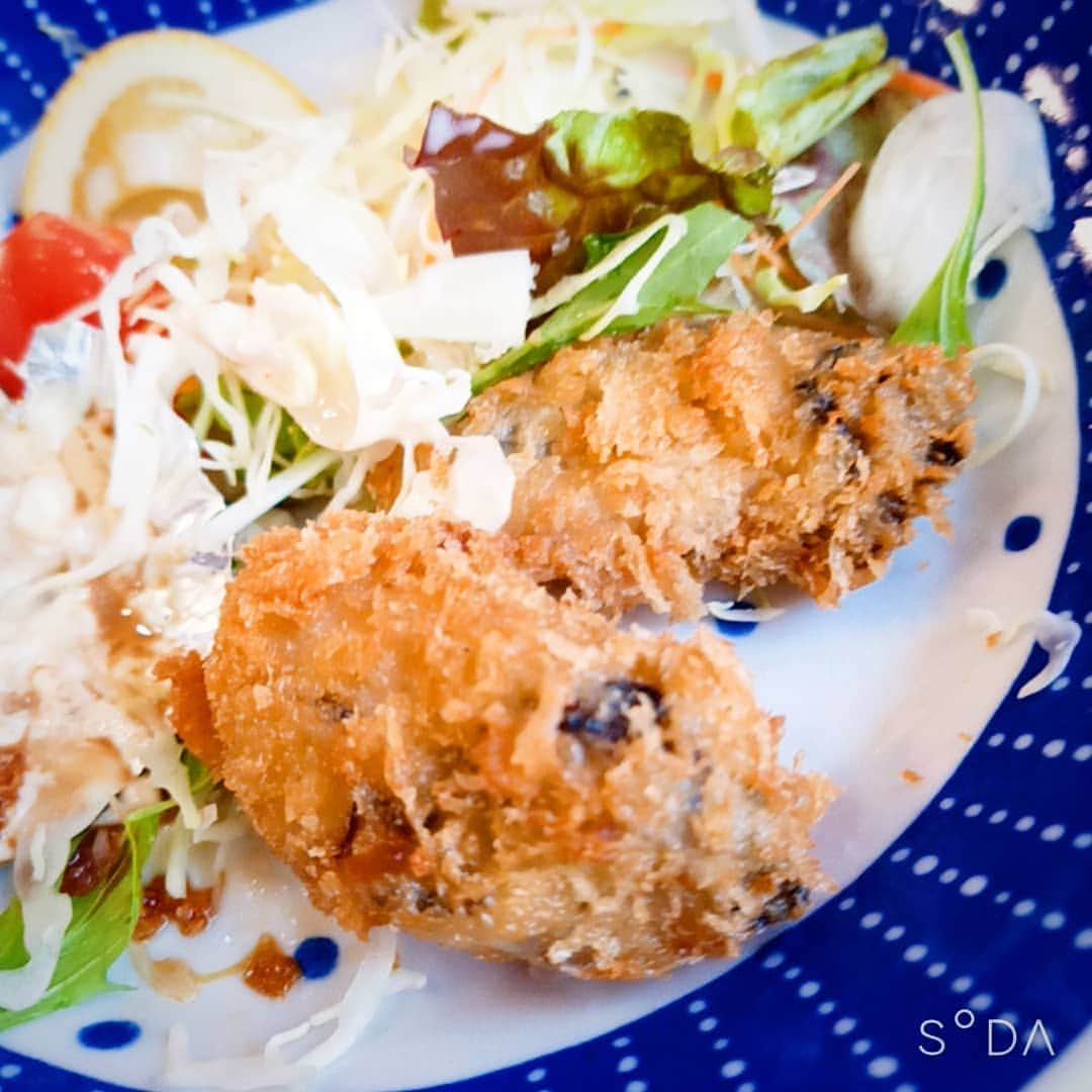 松本隆博のインスタグラム：「。 今旬の牡蠣を食べに来た。 ここ日生(^_^)(^_^)懐かしい 社会人1年生の時、信用金庫 職員時代に、テニスに来た以来。。  しかし牡蠣フライを食べると いつも思うんだ！！！！ タルタルソースが少ない！ 全然足りないんだ！ タルタルではなく…… タリナイタリナイソースだ！ (^_^)  この時期、 …牡蠣でしょ？今でしょ？ まさしくカキ限定！ …なんつて  (^-^)」