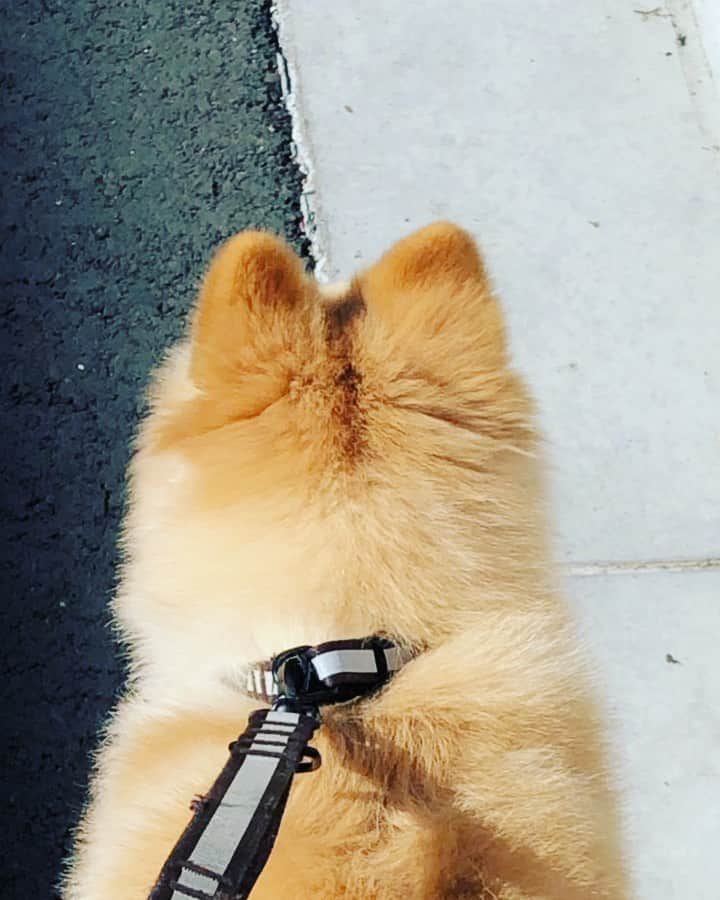 水野良樹のインスタグラム