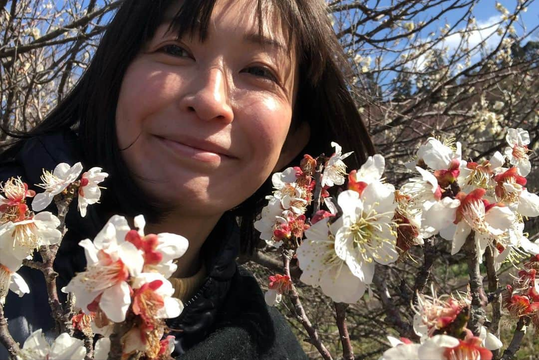 小野真弓さんのインスタグラム写真 - (小野真弓Instagram)「おはようございます🌼 ぴよぴよ🦜ぴやぴや🕊 春の鳥の声が聞こえるようになってきました🌱✨ 毎日お花見🌸わん散歩風景( ´ ▽ ` ) 今日も皆様、良い一日を🍀😷 #菜の花#梅#わん散歩 #チワワ#チワマル#いぬすたぐらむ #いぬばか部 #chihuahua #maltese #mixdog#doglover #dogstagram #犬のいる暮らし#千葉暮らし#あずの里いちはら#お散歩広々#外席沢山#わんこに優しい#道の駅  #里親募集#中型犬mix#子犬里親募集 #千葉県#市原市#保護犬譲渡会#2月23日#開催#子犬11頭参加します @gomashio95 23日の譲渡会のチラシも貼ってもらいながら〜🐕‍🦺^ ^ 保護っ子たちにも素敵な出会いの、 春が訪れますように☺️🌸」2月20日 6時03分 - hanaharuaroi