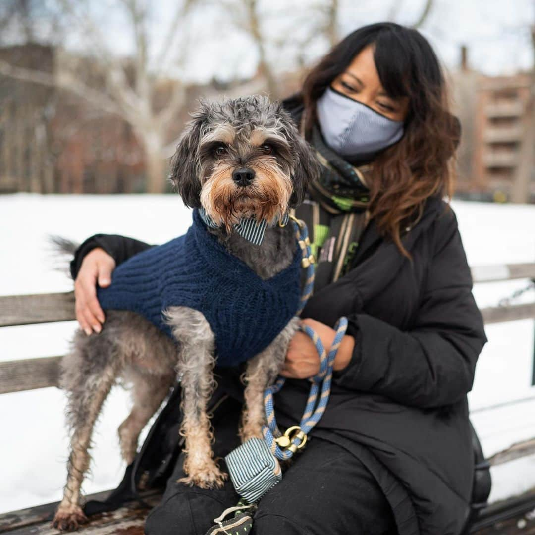 The Dogistさんのインスタグラム写真 - (The DogistInstagram)「Miles & Ollie, mixes, Washington Square Park, New York, NY • ”We’re best friends and are both designers – we met at a children’s wear company years ago. We started Gone to the Dogs because we wanted to create something fun and exciting together – something that we could not only share with the community, but also impactful in many ways. We were inspired by our dogs Miles and Ollie and decided to create an ethical and fun line of dog products. We wanted to do it right and do it well, by making ‘dog goods that do good.’ We decided we wanted to partner with women makers in New York and around the globe – we’re working with marginalized women in NYC as well as artisans in Nepal, Peru, and Cambodia. We’ve reduced our carbon footprint by using earth-friendly, reclaimed and upcycled materials. We’re proud to be a BIPOC, women-owned, social enterprise. Our mission is to provide job opportunities and fair and stable incomes to artisans, namely marginalized women. It's been tough starting a business during COVID – we've been doing outdoor markets up until recently when it got too cold. But the dog community has been so supportive. It makes us super hopeful and optimistic for what the future has in store for us.” To check out and shop @gonetothedogs.co, head to the link in bio! #AllInNYC #NYCSTRONG」2月20日 6時21分 - thedogist