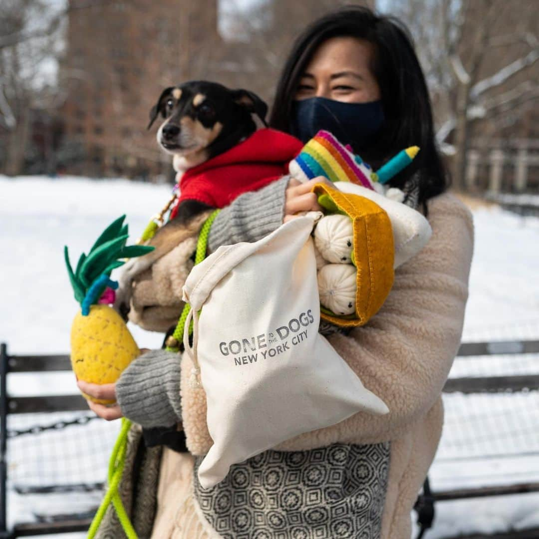 The Dogistさんのインスタグラム写真 - (The DogistInstagram)「Miles & Ollie, mixes, Washington Square Park, New York, NY • ”We’re best friends and are both designers – we met at a children’s wear company years ago. We started Gone to the Dogs because we wanted to create something fun and exciting together – something that we could not only share with the community, but also impactful in many ways. We were inspired by our dogs Miles and Ollie and decided to create an ethical and fun line of dog products. We wanted to do it right and do it well, by making ‘dog goods that do good.’ We decided we wanted to partner with women makers in New York and around the globe – we’re working with marginalized women in NYC as well as artisans in Nepal, Peru, and Cambodia. We’ve reduced our carbon footprint by using earth-friendly, reclaimed and upcycled materials. We’re proud to be a BIPOC, women-owned, social enterprise. Our mission is to provide job opportunities and fair and stable incomes to artisans, namely marginalized women. It's been tough starting a business during COVID – we've been doing outdoor markets up until recently when it got too cold. But the dog community has been so supportive. It makes us super hopeful and optimistic for what the future has in store for us.” To check out and shop @gonetothedogs.co, head to the link in bio! #AllInNYC #NYCSTRONG」2月20日 6時21分 - thedogist