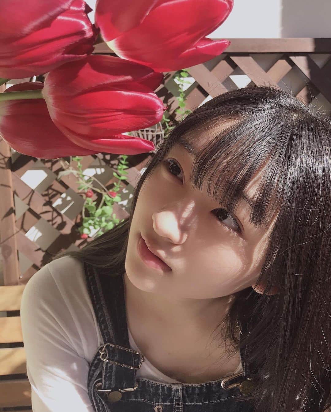 前野えまさんのインスタグラム写真 - (前野えまInstagram)「ベランダのチューリップ🌷 球根からグングン伸びてます🪴 ・ ・ #おはようございます #チューリップ #赤い花 #春の花 #🌷 #球根 #水栽培 #春の訪れ #花のある暮らし #花の写真 #花のち晴れ #今日は撮影 #お仕事 #頑張ります #今日の1枚   #tulips #red #flowers #springflowers #spring2021 #flowerphotography #todaysphoto  #followme #tflers #actress #girl #photography #portraitphotography #daily_phot_jpn #japan_daytime_view」2月20日 6時27分 - maeno_ema