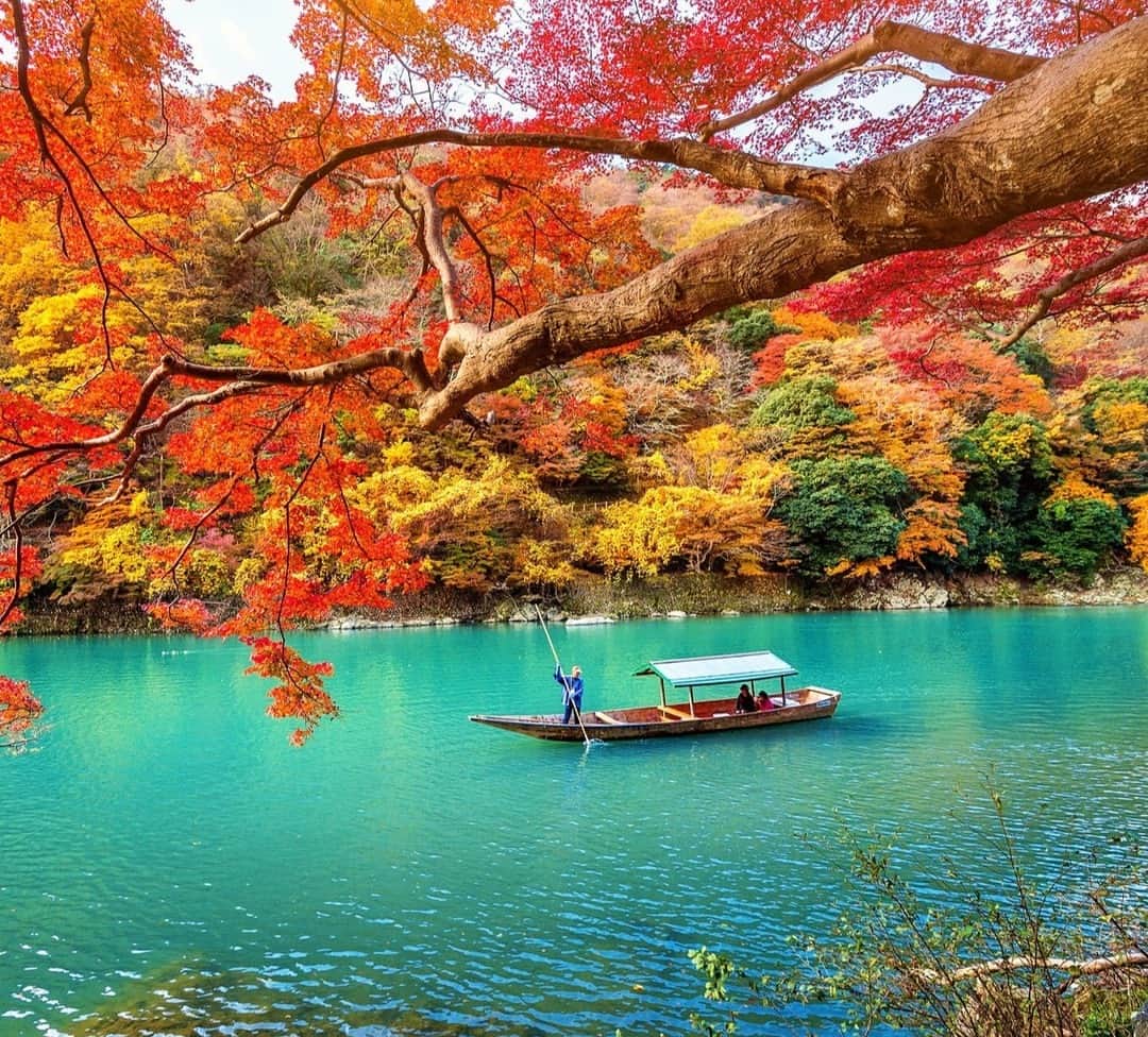 Lonely Planetのインスタグラム：「With traditional Japanese architecture that looks great in all types of weather, plus a year-round calendar of festivals and a sophisticated food scene, there's almost always something interesting to experience in Kyoto. ⠀⠀⠀⠀⠀⠀⠀⠀⠀ ⠀⠀⠀⠀⠀⠀⠀⠀⠀ Check out the link in our bio for our guide on when to go.⠀⠀⠀⠀⠀⠀⠀⠀⠀ ⠀⠀⠀⠀⠀⠀⠀⠀⠀ #Lonelyplanet #Kyoto」