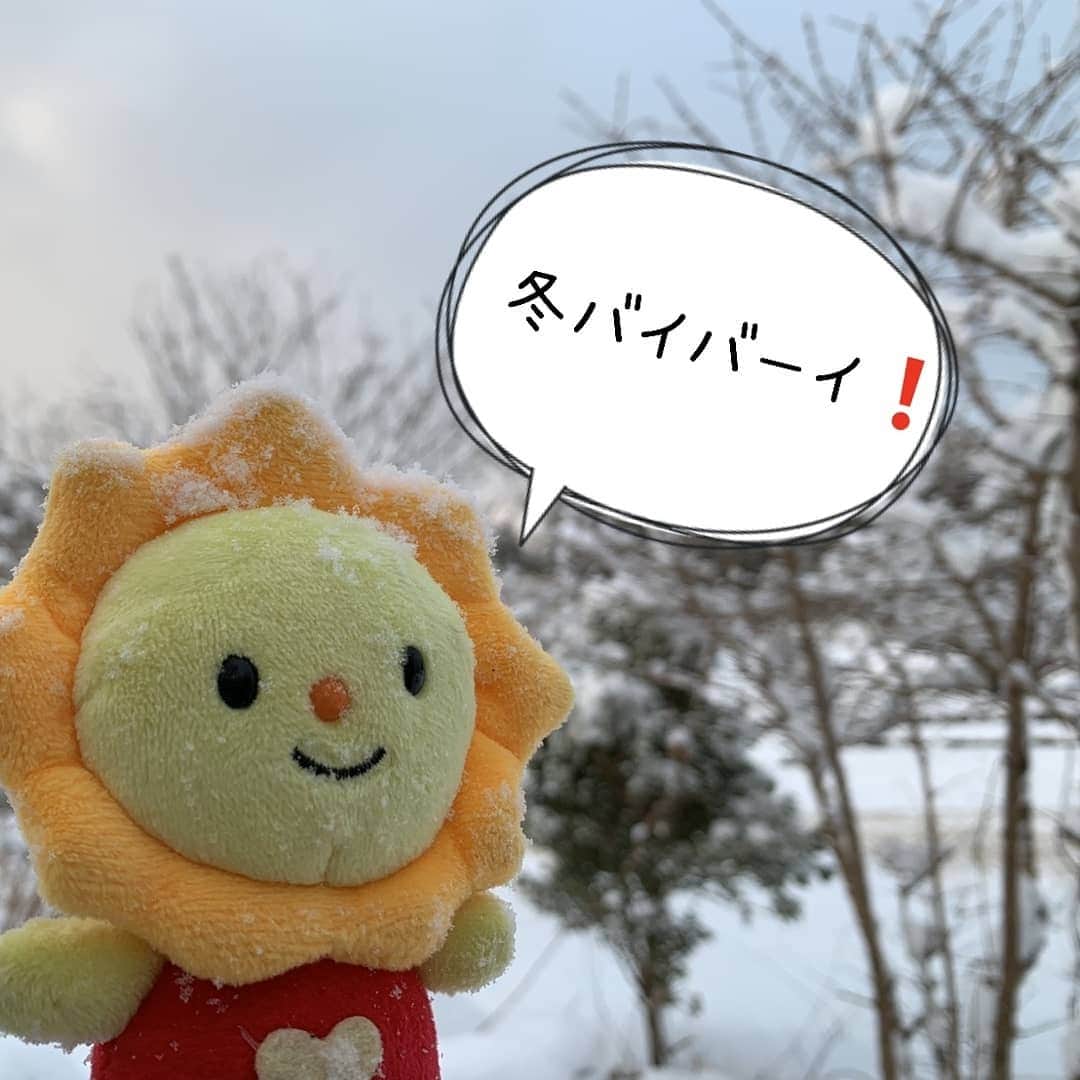 サニーマートさんのインスタグラム写真 - (サニーマートInstagram)「サニカの春さがし～♪ 雪の中から「ふきのとう」が顔だしました。 雪が溶けて、いよいよ春ですね～♪  週末のおうちごはんに、 春を楽しむ山菜天ぷらいかがですか？ 季節限定の旬食材は贅沢気分にさせてくれます。 サクッと揚げて春をいただきましょう♪  #サニーマート#春の天ぷら#山菜」2月20日 8時23分 - sunny__mart