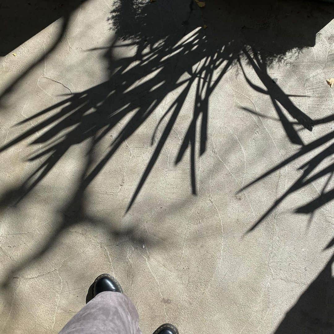 サキのインスタグラム：「. 春は気持ちが上がるから好きで 夏も楽しいから好き 秋は服が好きで 冬は寒いだけ #春」