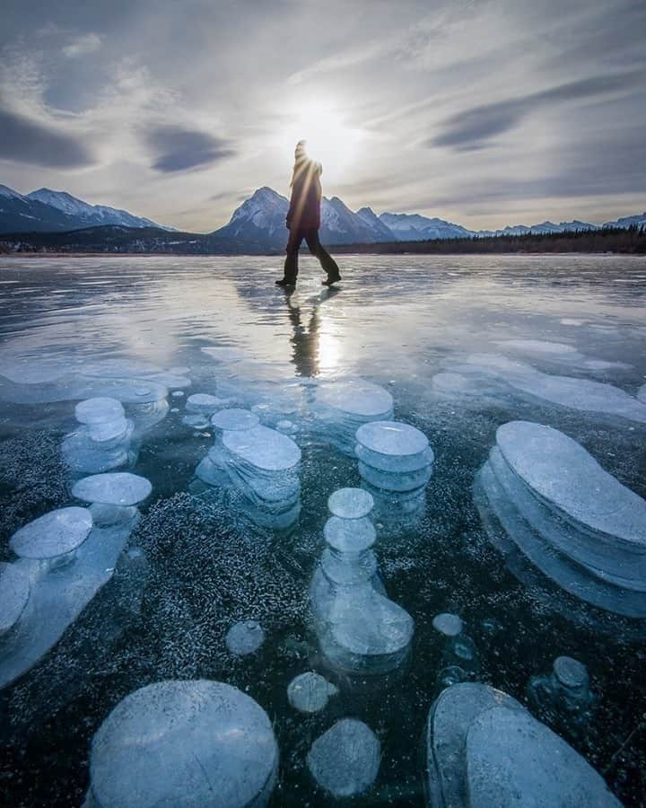 National Geographic Travelさんのインスタグラム写真 - (National Geographic TravelInstagram)「Photo by @kahliaprilphoto / It's ice bubble season in the Canadian Rockies. This unique phenomenon, caused by rotting plant matter on the lake bottom releasing methane gas, is something you have to see with your own eyes to believe!」2月20日 8時35分 - natgeotravel
