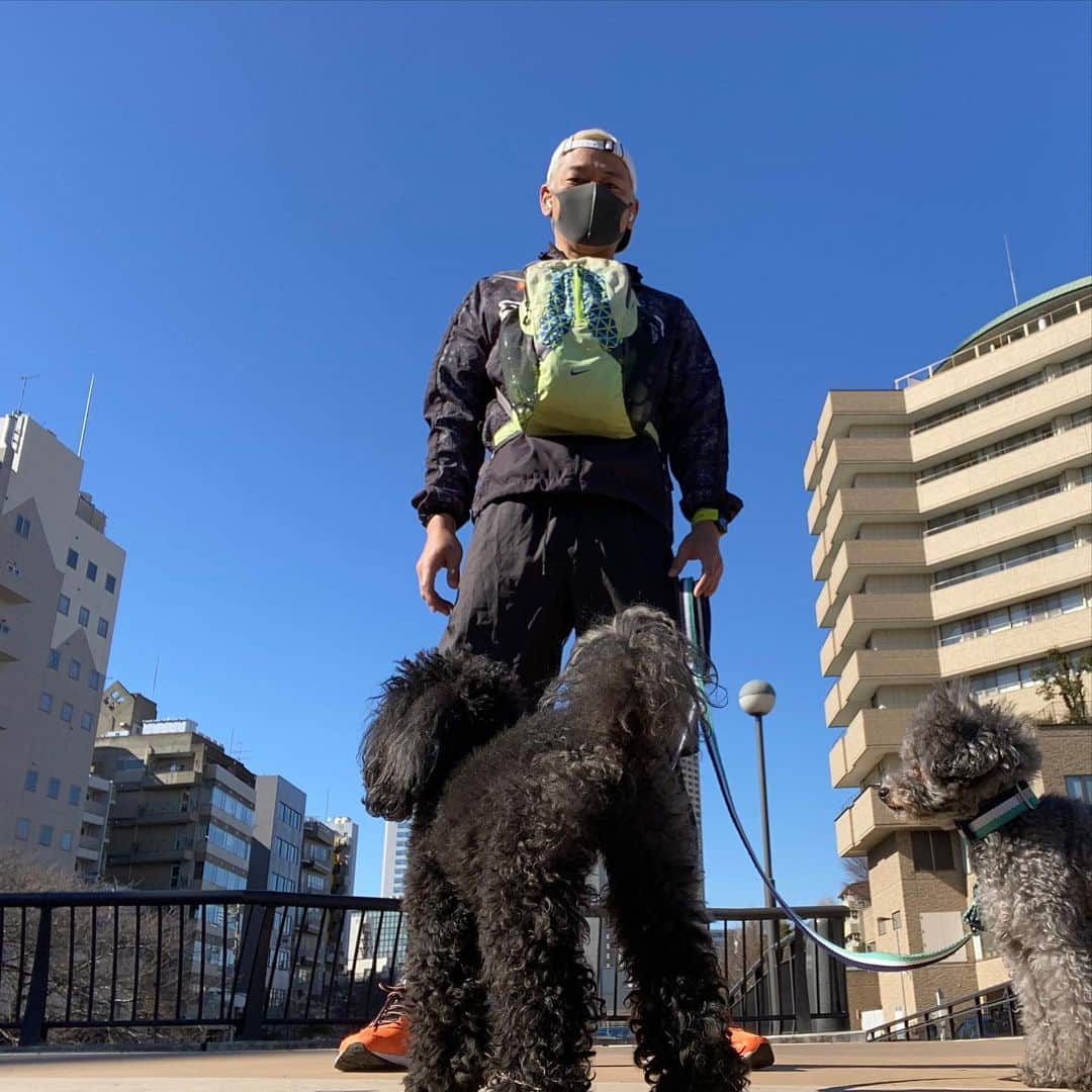 田村亮のインスタグラム：「まだ、目黒川の桜は咲いてないです。 #ロンブー亮 #犬の散歩 #少しランニング #ロンブー亮バーチャル駅伝 #青森で安全の為ストップ中 #タレント犬にはなれない写り方」