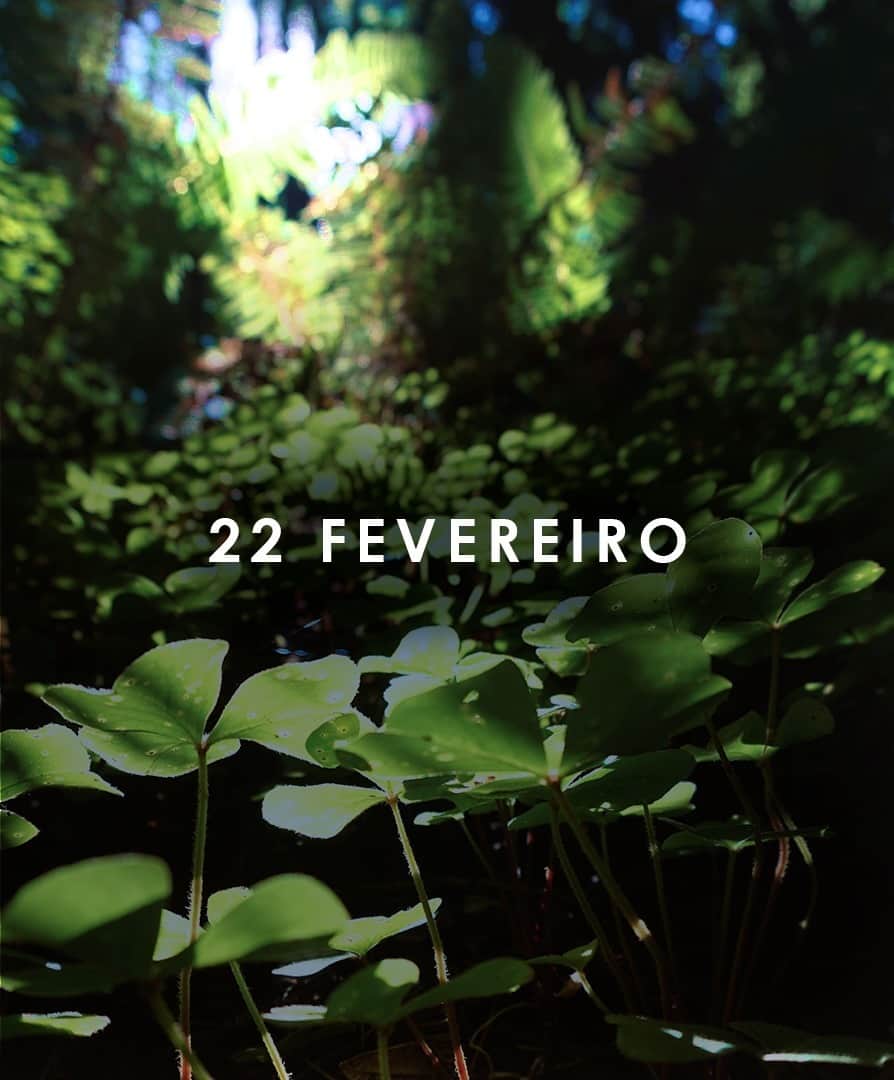 DECÊNCIAのインスタグラム：「Nos preparamos para nos vestir de nossa melhor versão. Para carregar conosco aquilo que nos faz ter fé e acreditar no impossível. Está pronta para vir com a gente? 22 de fevereiro, lançamento oficial de #aw21 #vistasuasorte」