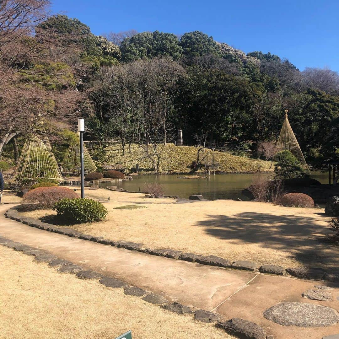 ヨネスケさんのインスタグラム写真 - (ヨネスケInstagram)「目白台にある、肥後細川庭園。 無料なので、今日もお客様がいっぱい。 ＃細川庭園＃目白台#ウォーキングコース」2月20日 9時18分 - yonesuke5656