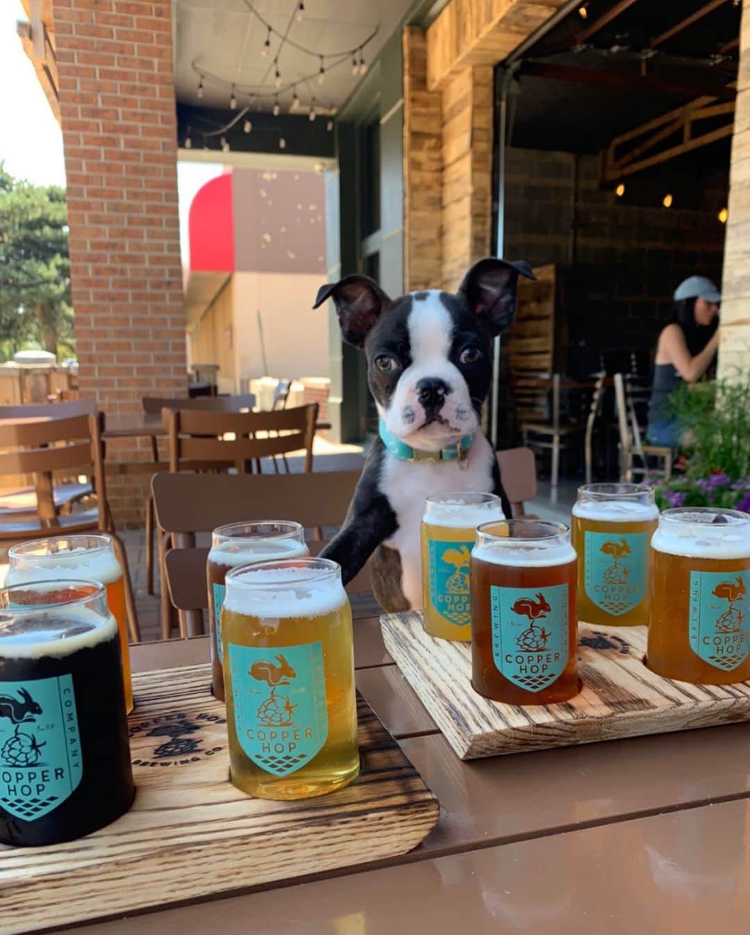 DogsOf Instagramさんのインスタグラム写真 - (DogsOf InstagramInstagram)「Thirsty for some yappy hour? We’ve got you covered 🍻 Cheers to the freakin’ weekend furriends!  We received so many amazing submissions for our Yappy Hour Photo Contest this week! Though we can only grant one winner the Best Friends Prize Pack from @cutwaterspirits, everyone who submitted will receive a special gift from us!  (Pssst! Yappy hour dog toys in the first video are from @muttropolis!)   📸: @bradley_and_chandler  📸: @mr.theo.handsome  📸: @mumfordandsnugs  📸: @maximus_quarantine 📸: @sirnewtonseverus  📸: @bojangles.the.black.mouth.cur  📸: @pepperoniheretoparti  📸: @seiff98  📸: @lil.lilythepoo  🎶: Grits - Ooh Ahh (My Life Be Like) (feat. Toby Mac)  #yappyhour #happyhour #itsfiveoclocksomewhere #dogsofinstagram」2月20日 9時13分 - dogsofinstagram