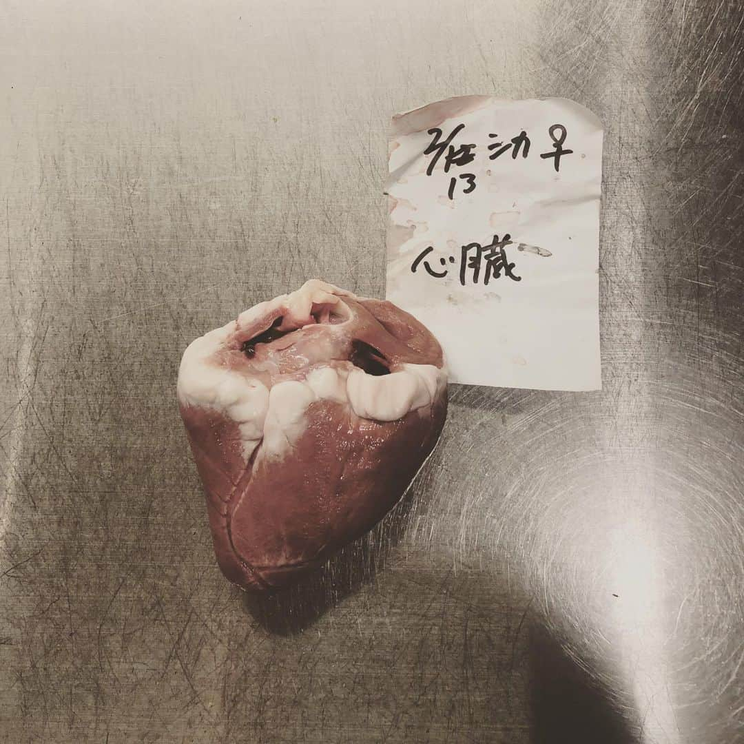 KIKIさんのインスタグラム写真 - (KIKIInstagram)「鹿肉をたくさんいただいた🍖 首肉 モモ 前脚 背ロース そしてハツ 首肉とハツは初めて調理した 首肉は煮込みが向いてるとのことで豆豉八角黒酢などなどで中華風煮込みに ハツは開いてスライスしてさっと焼き 塩胡麻油につけて ハツのあまりの綺麗さにうっとり 煮込みは旨味とこくがあって なにより食べてて身体がよろこぶ滋味があった ありがとうごちそうさま🙏🏻✨ #服部文祥」2月20日 9時26分 - kiki_campagnepremiere