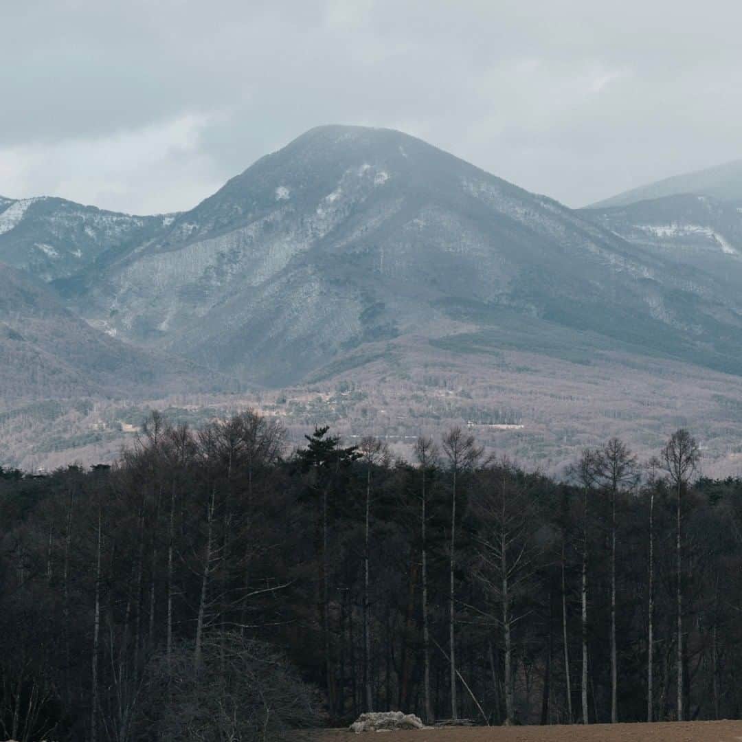 ヒラハルのグルメインスタ