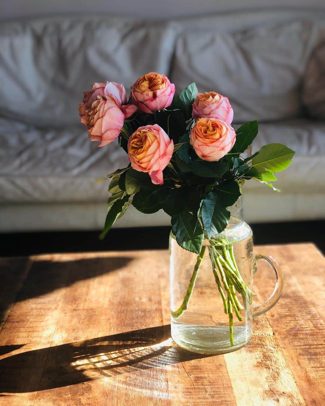 田中マヤさんのインスタグラム写真 - (田中マヤInstagram)「あったかい〜☺️ 花瓶のキラキラがキレイ✨ 皆さま、良い休日を✨ ・ #花瓶 #花 #休日 #holiday #rose #휴일 #꽃 #장미 #쉬는날」2月20日 10時11分 - tanakamaya__official
