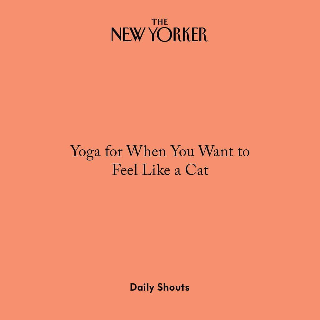 The New Yorkerさんのインスタグラム写真 - (The New YorkerInstagram)「Looking for a more personalized practice? @ethankuperberg collected some new yoga classes for the schedule. See them all at the link in our bio.」2月20日 10時11分 - newyorkermag