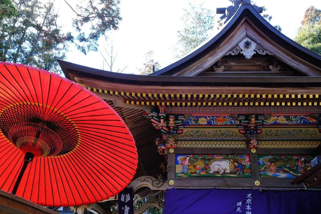 SHOCK EYEさんのインスタグラム写真 - (SHOCK EYEInstagram)「宝登山神社の社殿は本当に色鮮やかで綺麗だよ🙏✨⛩  #宝登山神社 #神社 #権現造 #二十四考」2月20日 10時17分 - shockeye_official