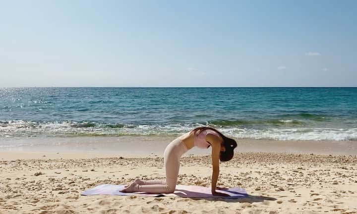 宮崎沙矢加のインスタグラム：「Feel the breath,feel the body,feel the mind,feel the moment all connect,It's harmony in yourself🧘‍♀️✨✨Have a wonderful weekend. . . . #yoga #yogainstructor #okinawa #meditation #beachyoga #beachlife #yogini #yogalife #alo #alomoves #aloyoga #follow #love #inspiration #workout #catandcow #ヨガ　#沖縄 #沖縄ヨガ#ヨガインストラクター」