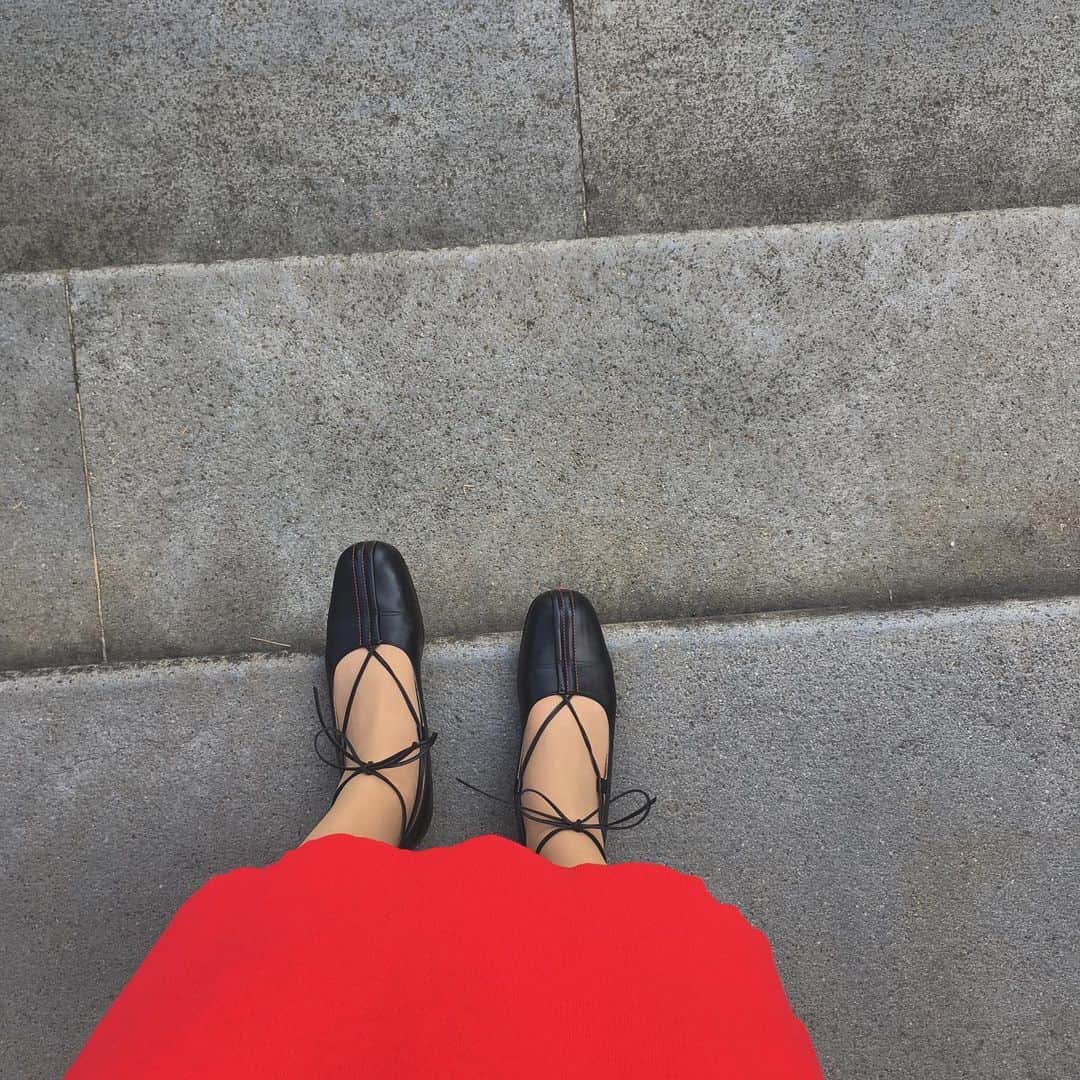 松本妃代のインスタグラム：「. 今日はあったかいなぁ🐕」