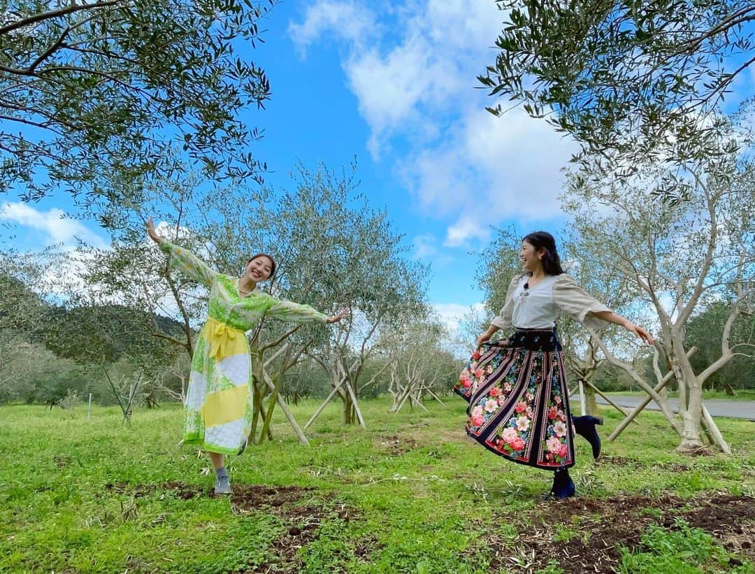 高橋幸さんのインスタグラム写真 - (高橋幸Instagram)「初めての #オリーブ園  平和な時間が流れます…気分はヨーロッパです🕊🌤  -KTSをご覧になれる方へ- きょう夕方6時30分からのナマ•イキVOICEは癒しの時間を届けてくれる「ハーブ」を特集します！ぜひご覧ください💚  #kagoshima #olive #鹿児島観光 #海外旅行気分   ※撮影時はマスクを外しています」2月20日 10時45分 - sachitakahashi8