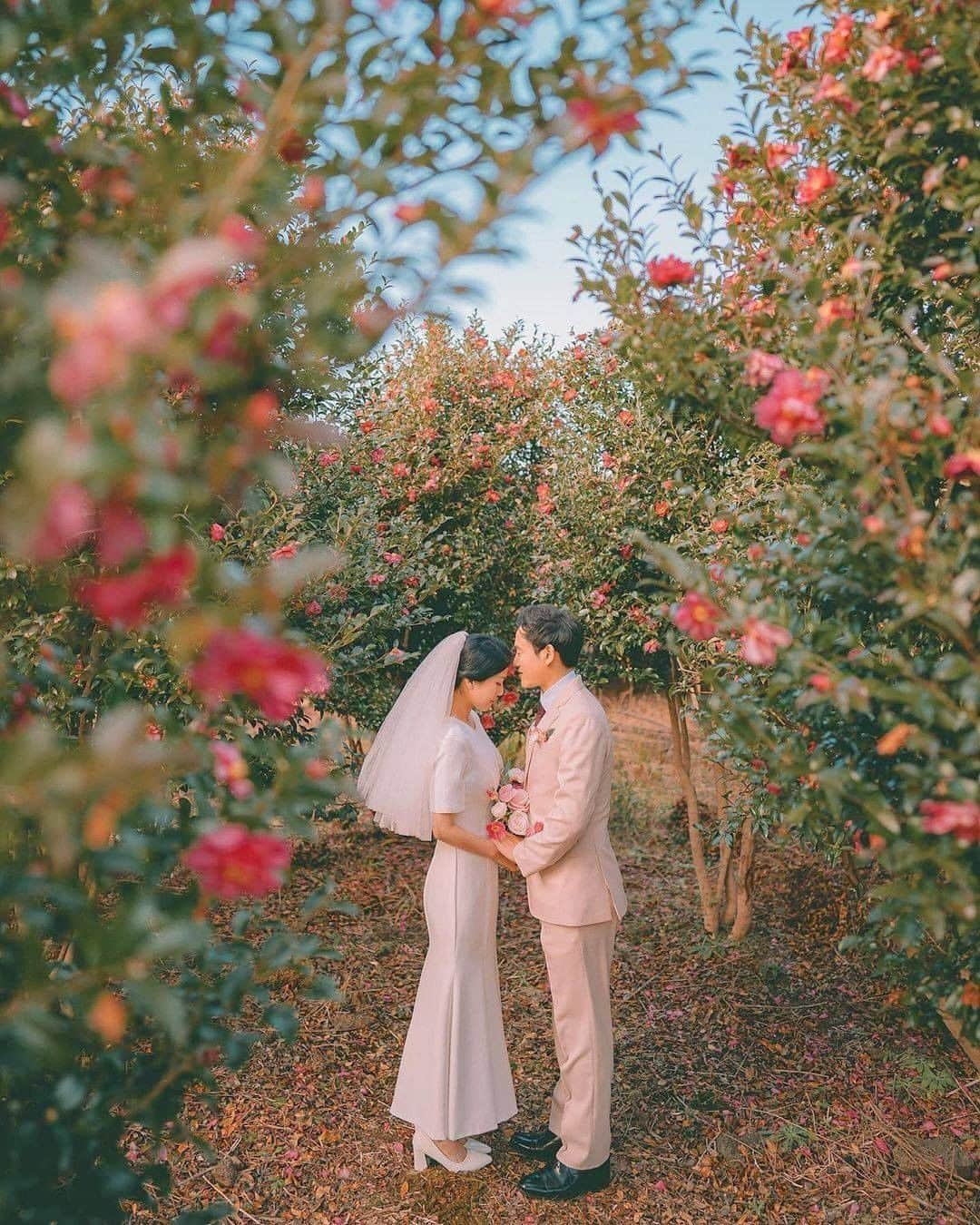 ♡プラコレWedding·⋆*さんのインスタグラム写真 - (♡プラコレWedding·⋆*Instagram)「@placolewedding【#DRESSY花嫁 】 【#プラコレ】をつけて投稿&フォローしてね♩ . ＝＝＝＝＝＝＝＝ . ロマンチックなウェディングフォトを撮影したいなら 韓国のフォトアカウント、 연그라미 [@shutterpresso_jeju ] を 参考にするのがおすすめ♡  美しいロケーションに、 ウェディングドレスを美しく見せてくれる構図が どれも素敵で参考になります🌸💕  思わず撮影方法などが気になってしまう、 ステキなウェディングフォトを ぜひチェックしてみて👰 . ＝＝＝＝＝＝＝＝ 📷 photo by... @shutterpresso_jejuさん . ＝＝＝＝＝＝＝＝ 『#DRESSY花嫁』『#プラコレ』の ハッシュタグをつけて写真をUPしてね✦ 花嫁アプリ『DRESSY by プラコレ』の 記事に掲載＆リグラムされるかも♩ . みなさまからのいいねや保存 コメントをお待ちしています♥ 「このウェディングドレス可愛い！」 「ヘアスタイルも気になる！！」 「今の花嫁さんの流行りは！？」etc. . ＝＝＝＝＝＝＝＝ 花嫁アプリでは、 プロのアドバイザーに結婚式の相談を何度でも♡ ウェディングドレスの記事や、 自分のウェディングレポを残せちゃう♡” . ＞＞＞TOPのURLからcheck ⋈ @placolewedding ＞＞＞結婚のご相談は プラコレウェディングアドバイザーへ♡ @wedding_adviser ＞＞＞ウェディングレポを残したいなら、 farny by プラコレをcheck ✎ @farny_wedding ＞＞＞ウェディングアイデア＆DIYは ドレシーアイデアcheck ❁ @dressy_idea >>>素敵なドレスに出会いたい花嫁さま♡ @dressyonline_をcheck . ＝＝＝＝＝＝＝＝＝＝＝＝＝＝＝＝ . #プレ花嫁 #卒花 #花嫁 #卒花嫁 #結婚 #結婚式 #結婚準備 #花嫁準備 #weddingtbt #2021秋婚 #2021春婚 #ウェディングフォト #ロマンチックフォト #カラードレス #前撮り #フォトウェディング #撮影指示書 #海外ウェディング #ロケーションフォト #ロケフォト #海外ウェディング #海外フォトウェディング #weddingphoto #韓国フォト #韓国ウェディング」2月20日 10時53分 - placole_dressy