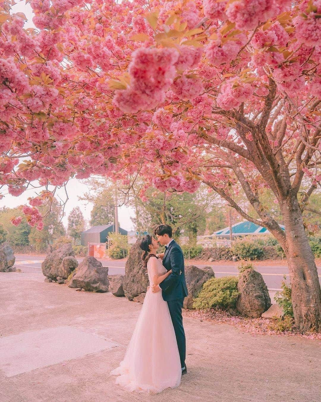 ♡プラコレWedding·⋆*のインスタグラム