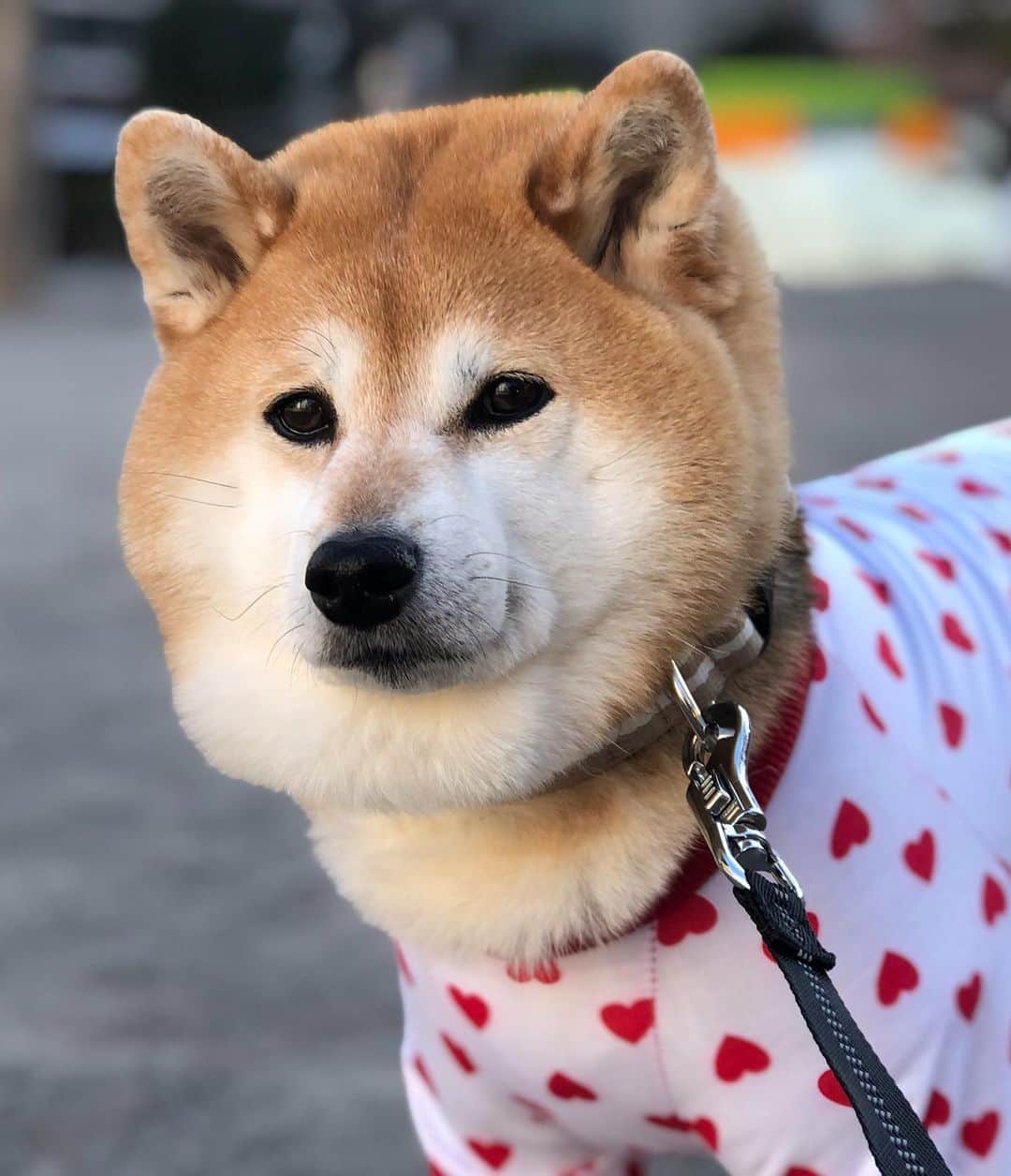 くるみのインスタグラム