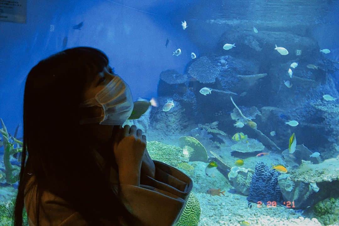 吉田莉桜さんのインスタグラム写真 - (吉田莉桜Instagram)「ずっとずっとずっと行きたかった水族館へ行って来ました。  最高の誕生日になりました🤍 もう、すごく心が癒され、浄化されました🤍 次はまだ行った事ない水族館へ行きたいな。 #誕生日 #水族館 #癒し #素敵な時間 #可愛い #魚達」2月20日 22時16分 - yoshida_rio_official