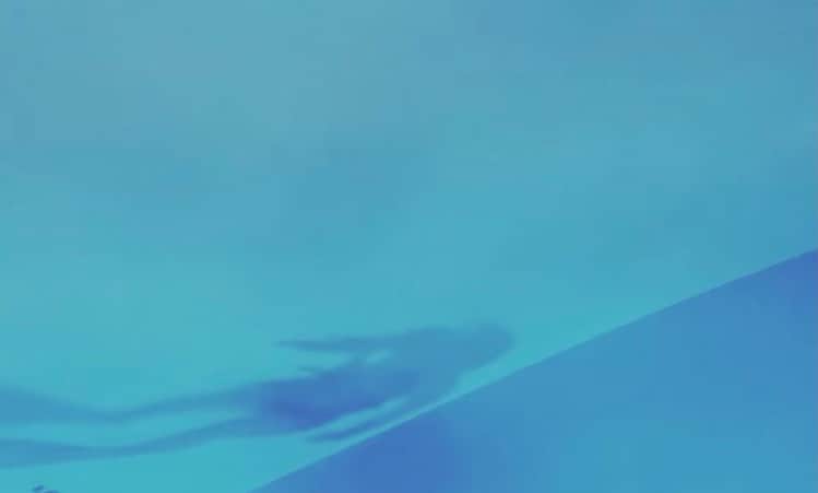 山本真由美さんのインスタグラム写真 - (山本真由美Instagram)「. . 𓍥 ◒ . . 🐋 . #しっぽ #dolphin #swim #luv  #nature #scubadiving #skindiving  #diving #sea #pool #blue  #snorkeling #dontthink #justfeel  #calm #freedom #japan #tokyo  #smile #likesforlike #inthewater  #zerogravity #いるか #photograph」2月20日 22時10分 - mayumi_yamamoto.official