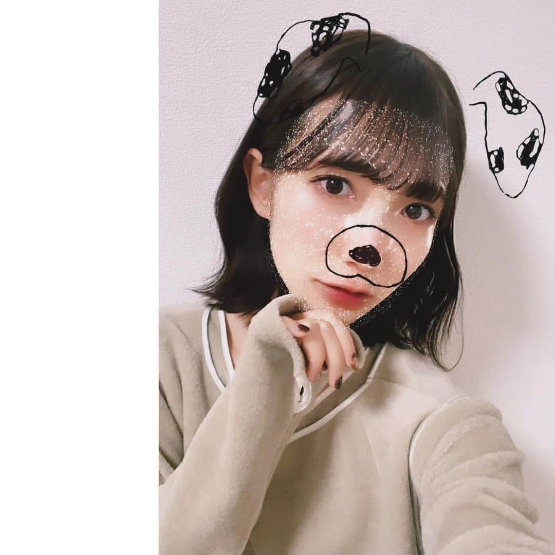 江嶋綾恵梨さんのインスタグラム写真 - (江嶋綾恵梨Instagram)「わん🐶🐾 #ボブ #ボブアレンジ #ゆる巻き」2月20日 22時13分 - aeringoooo