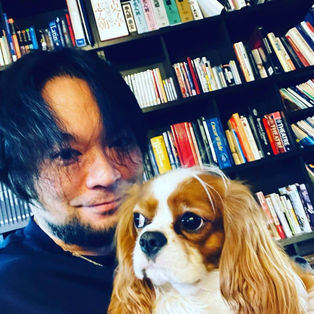 藤沢文翁さんのインスタグラム写真 - (藤沢文翁Instagram)「#loveyourpetday  #cavalierkingcharlesspaniel」2月20日 20時44分 - fujisawabun_o